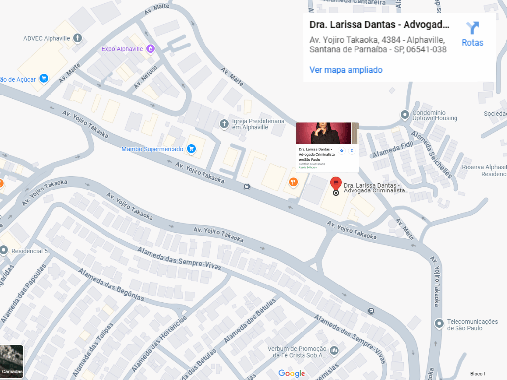 Advogada Criminalista em São Paulo